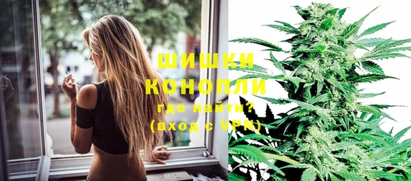 крисы Белокуриха