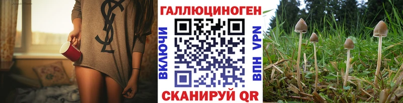 блэк спрут как зайти  Шагонар  Галлюциногенные грибы мухоморы 